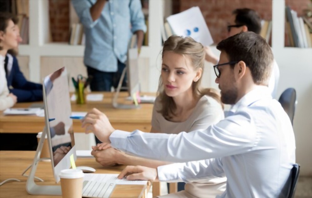 Financial advisor guiding a client
